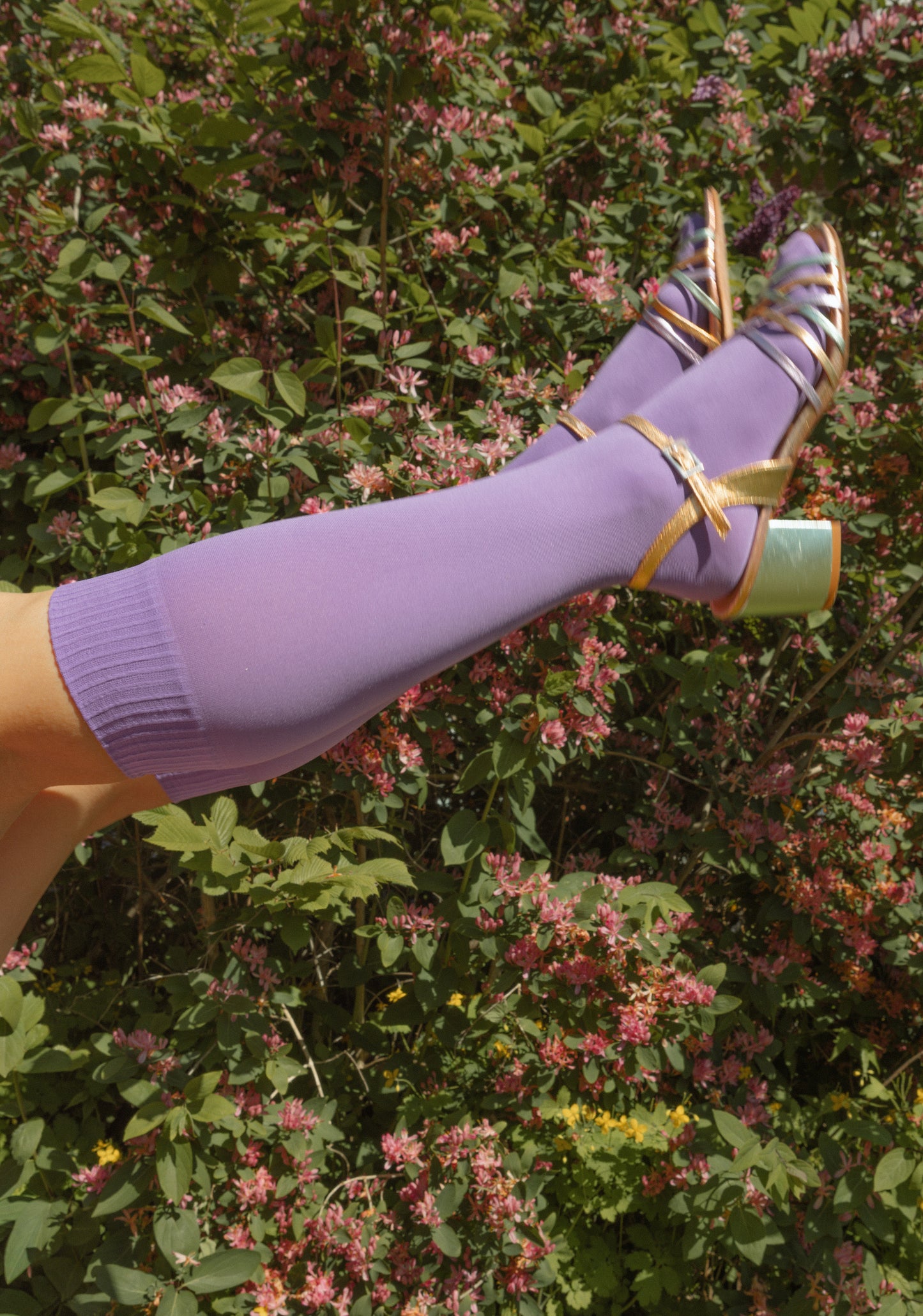 Pretty Purple - Odd Knee Socks