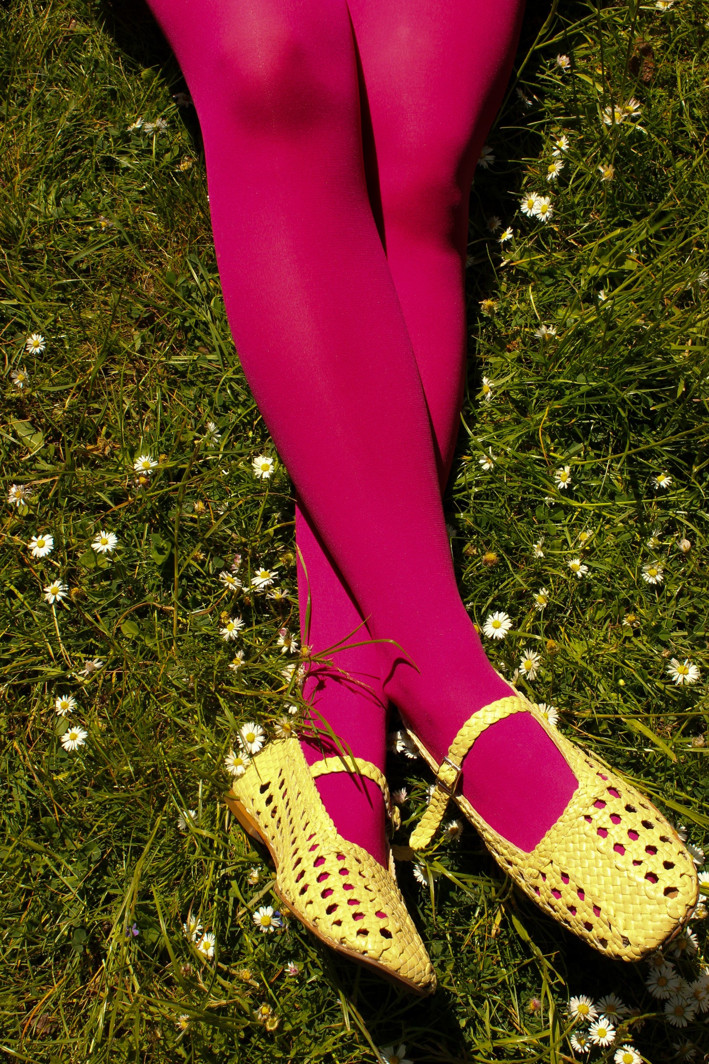 Dark Cherry - Tights