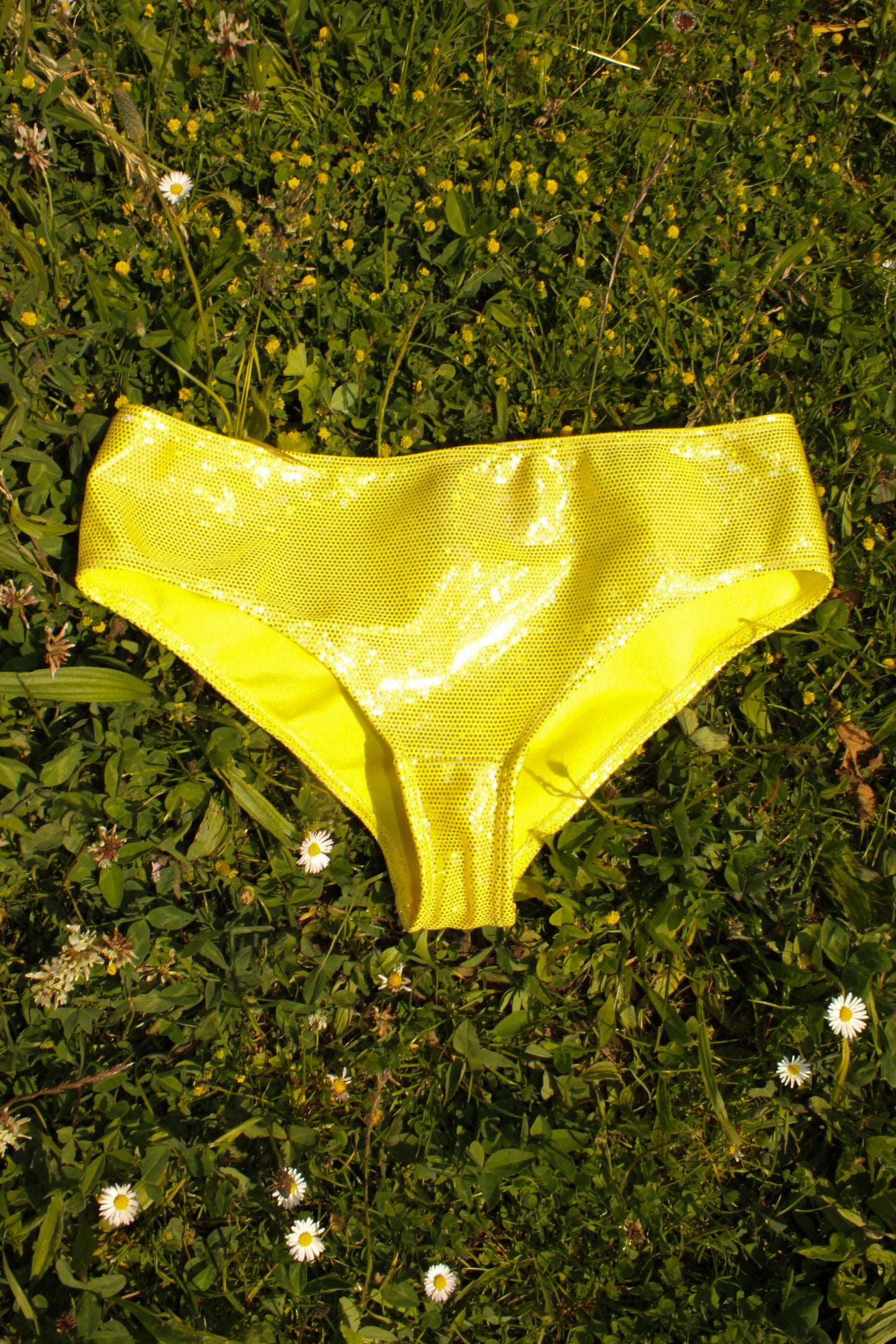 Balula Hybrid Briefs - Golden Mirror READY-TO-SHIP