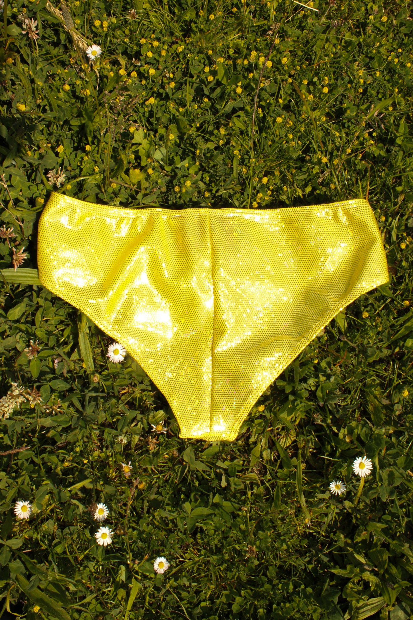 Balula Hybrid Briefs - Golden Mirror READY-TO-SHIP