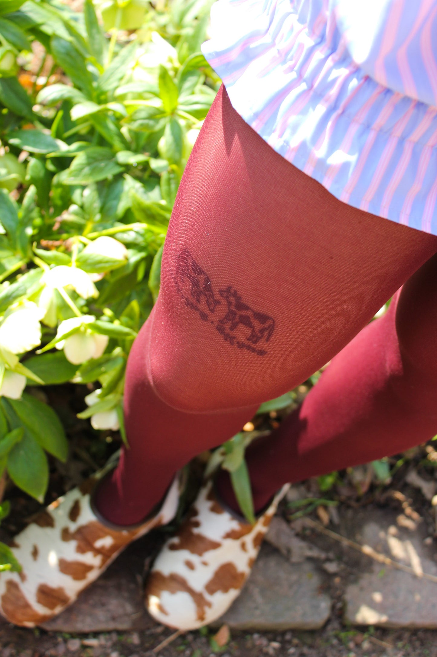 Plum Marmalade - Tights