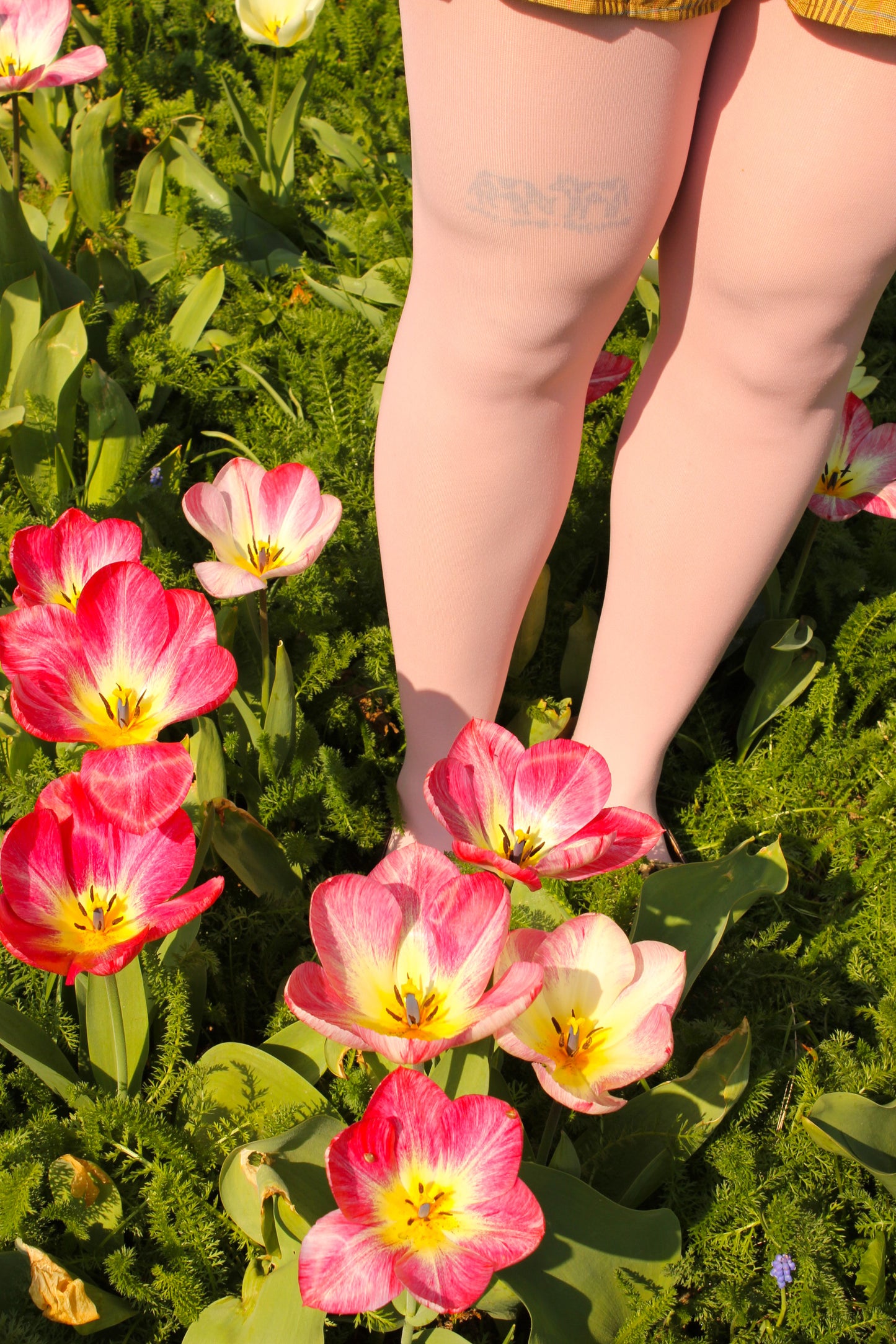 Cotton Candy - Tights