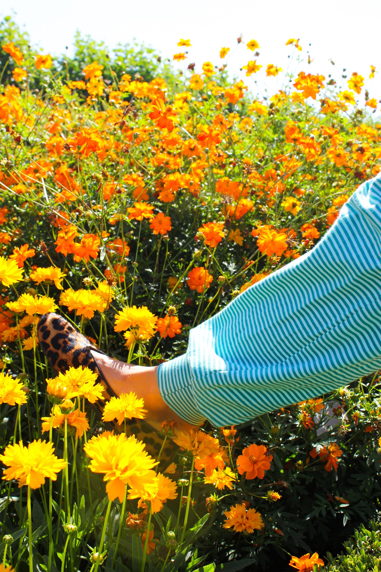 Gardenia Slumber Pants - Green and Blue Love Affair