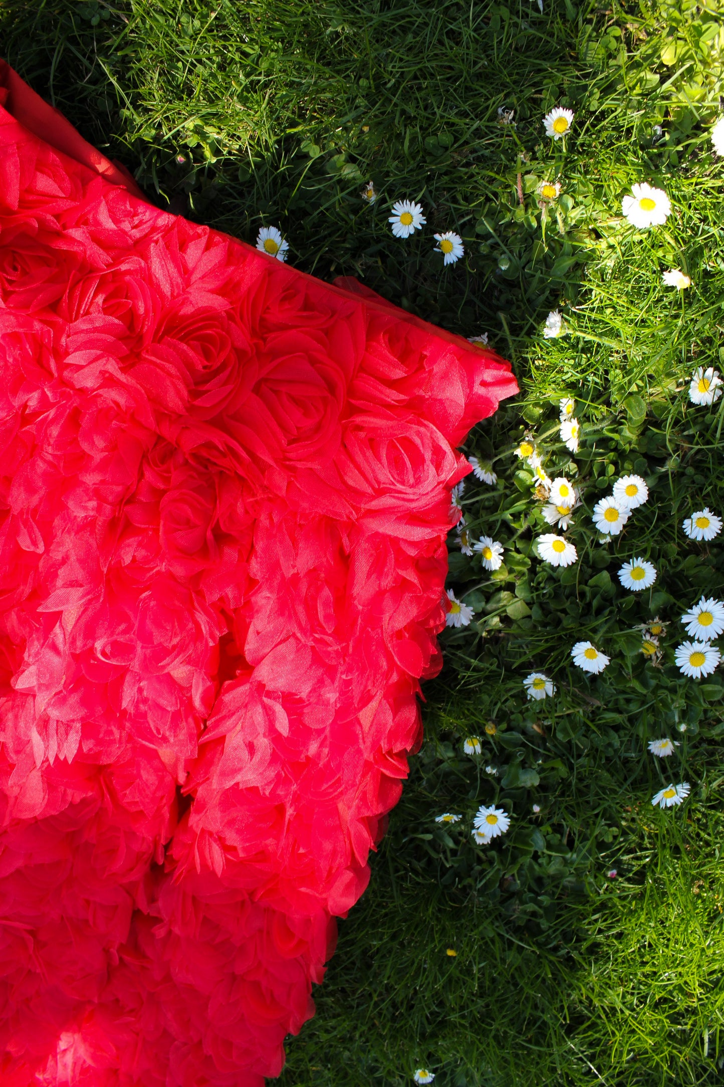 Cordelia Ball Skirt - Rosie Red