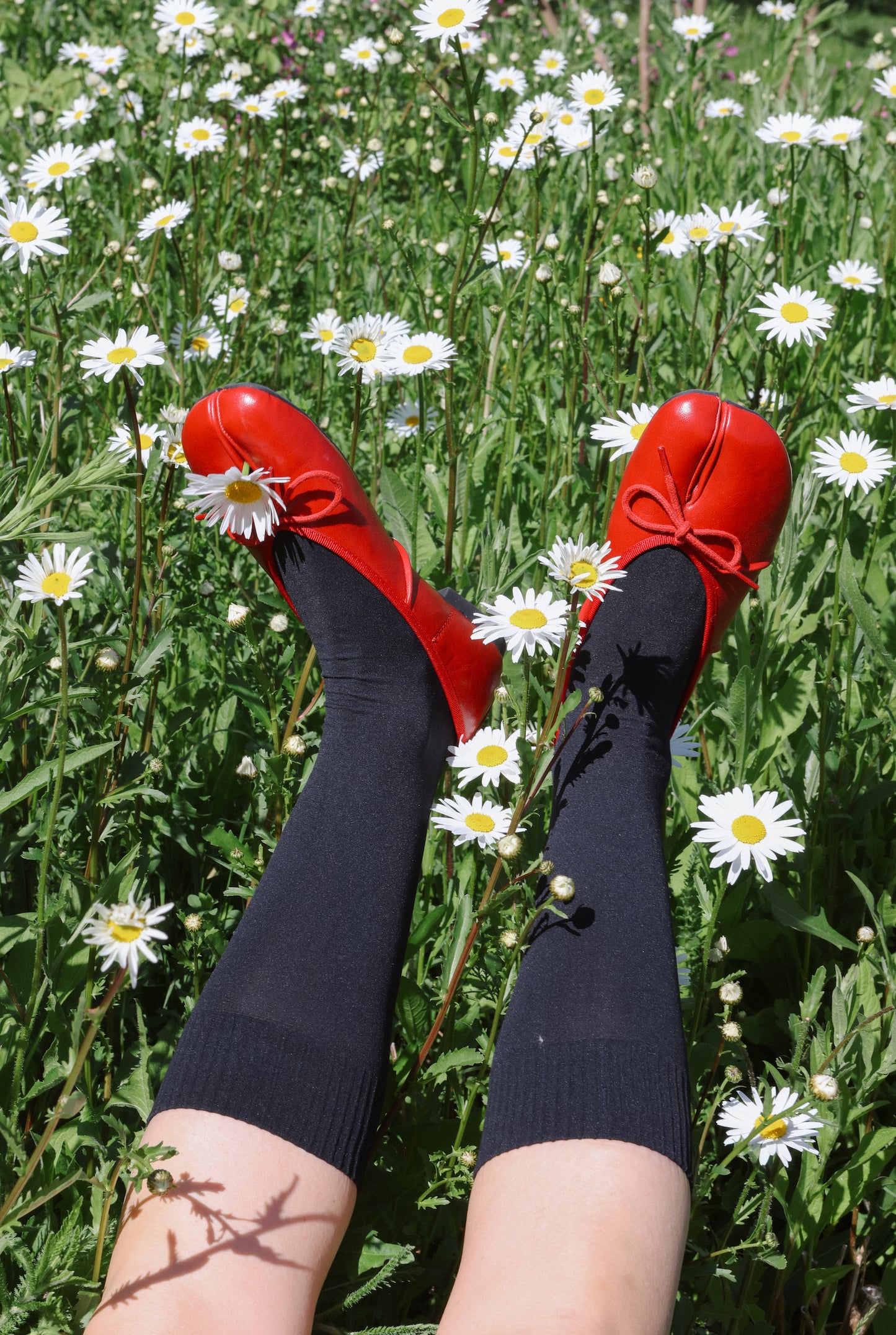 Pure Black - Odd Knee Socks