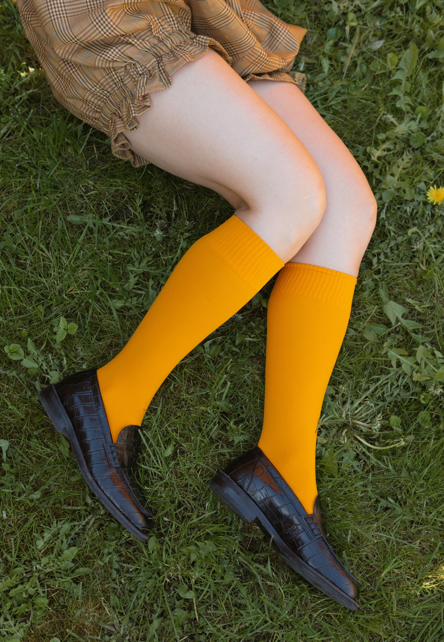 Fresh Orange - Odd Knee Socks
