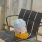 Odd Hat - Solstråle READY TO SHIP