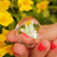 ODD LEMON x VIVIAN ALARCÓN Glass Ring - Minty Buttercup