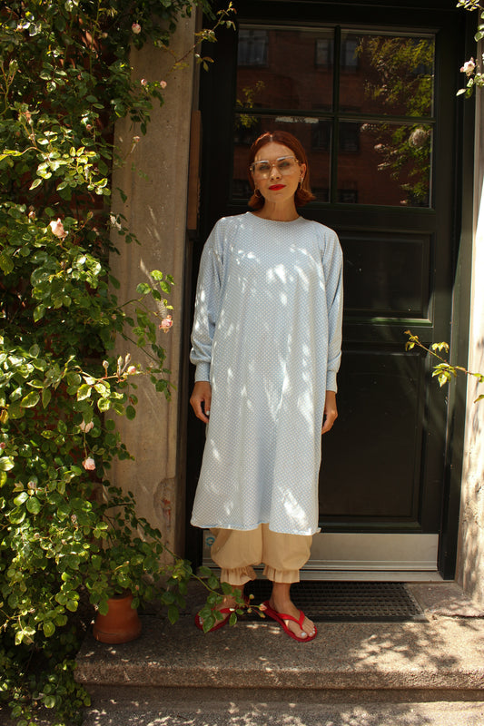 Rullegardenia Slumber Dress - Baby Blue Dots