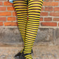Queen Bee - Tights