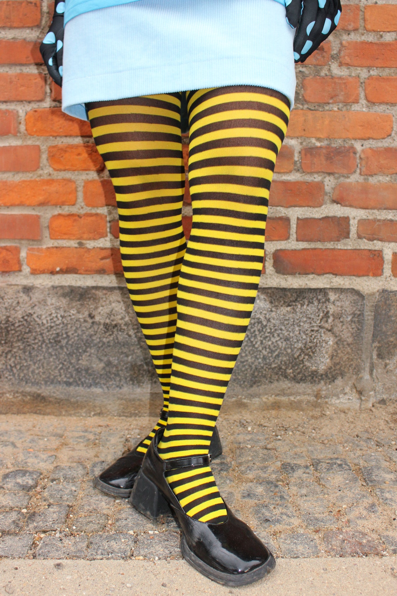 Queen Bee - Tights