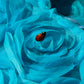 Bubble Top - Rosie Blue