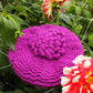 Elodie Dahlia Beret - Crochet Pattern (DK)