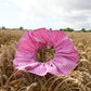 Oda Add-On-Collar - Lollipop Pink Stripes